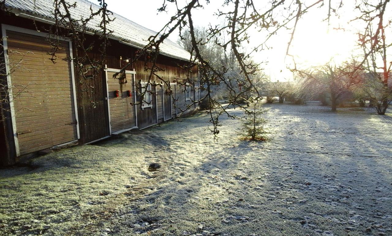 Draenggardens Stuga Pa Genuin Raettviksgard Boda  Buitenkant foto